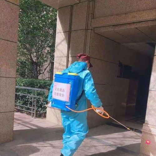 安全大過天 防寒防疫兩不誤 以“防疫健康包”為抓手，全力守護業主健康安全